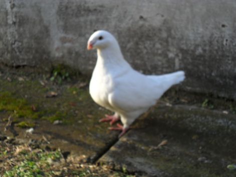 20110115235633_09-evelin.jpg