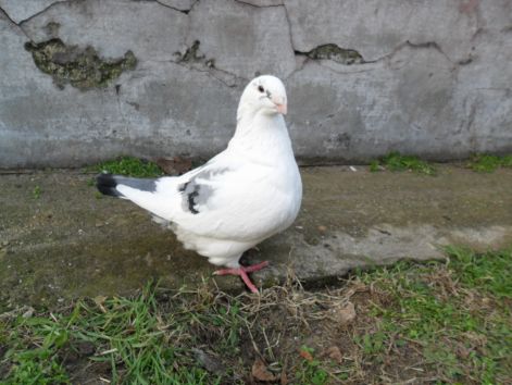 20110115235725_09-kamilla.jpg