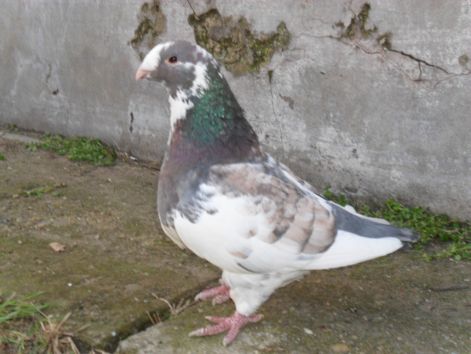 20110116000028_09-tifani.jpg