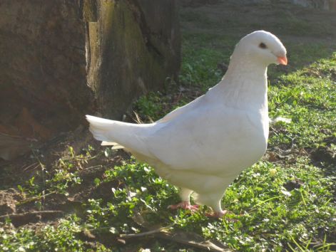 20110116000125_09-timea.jpg