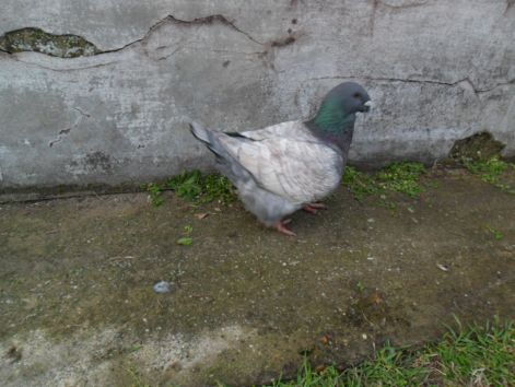 20110116000326_10-donat.jpg