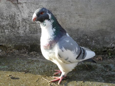 20110116000829_10-kuno..jpg