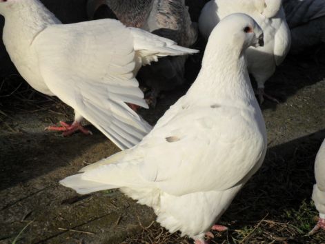 20110116000953_10-margo.jpg